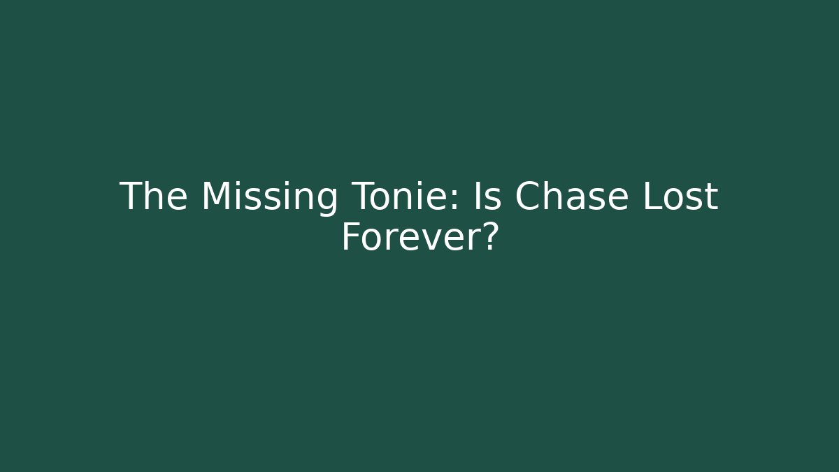 The Missing Tonie: Is Chase Lost Forever?