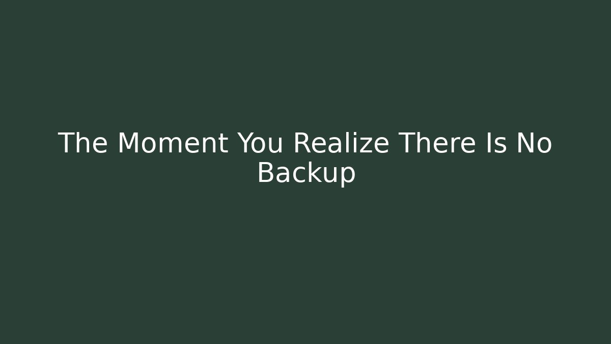 The Moment You Realize There Is No Backup