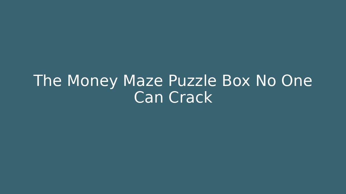 The Money Maze Puzzle Box No One Can Crack