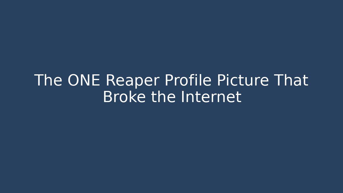 The ONE Reaper Profile Picture That Broke the Internet
