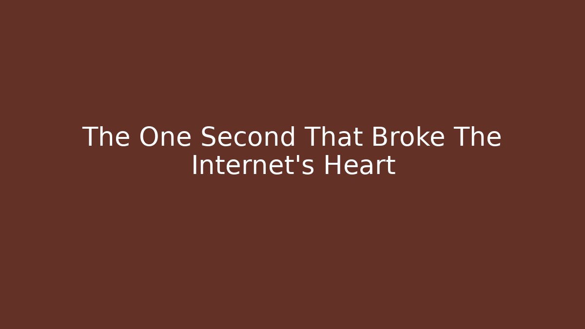The One Second That Broke The Internet's Heart - Create More Assets
