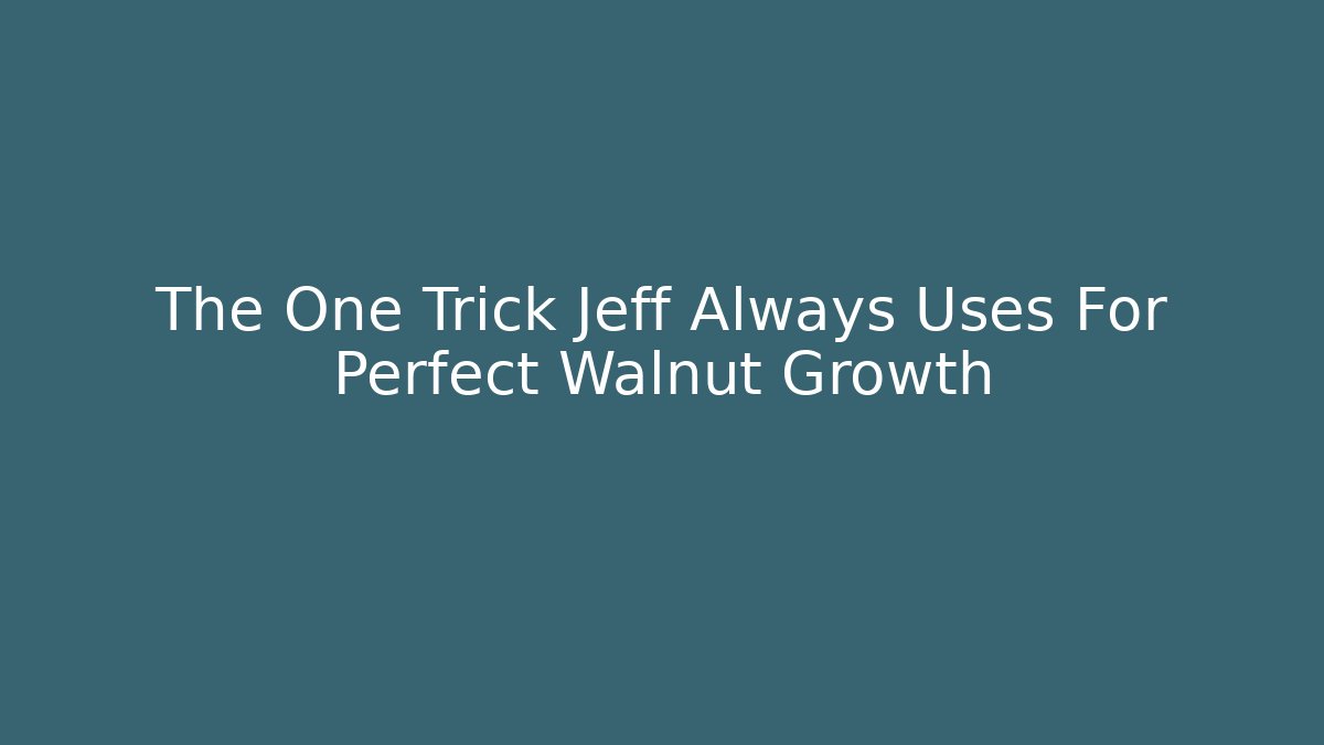 The One Trick Jeff Always Uses For Perfect Walnut Growth