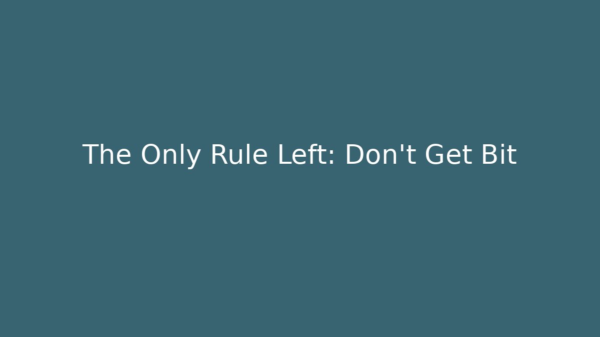 The Only Rule Left: Don't Get Bit - Create More Assets