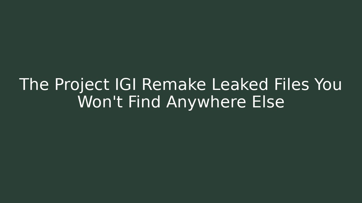 The Project IGI Remake Leaked Files You Won’t Find Anywhere Else