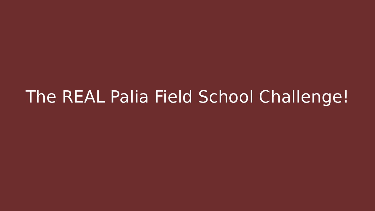 The REAL Palia Field School Challenge! - Create More Assets