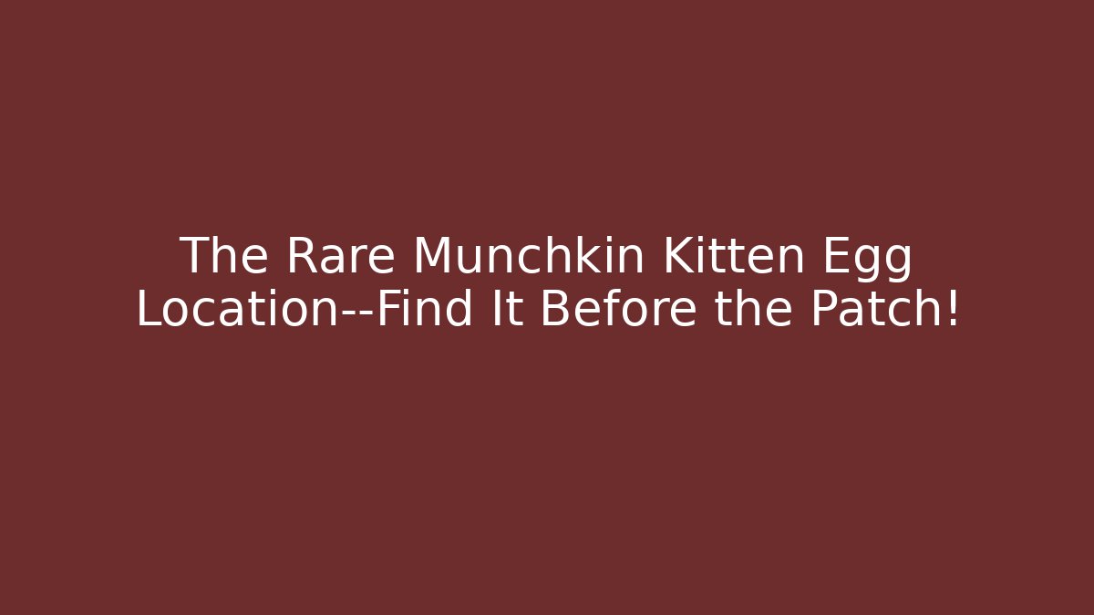 where can i find a munchkin kitten