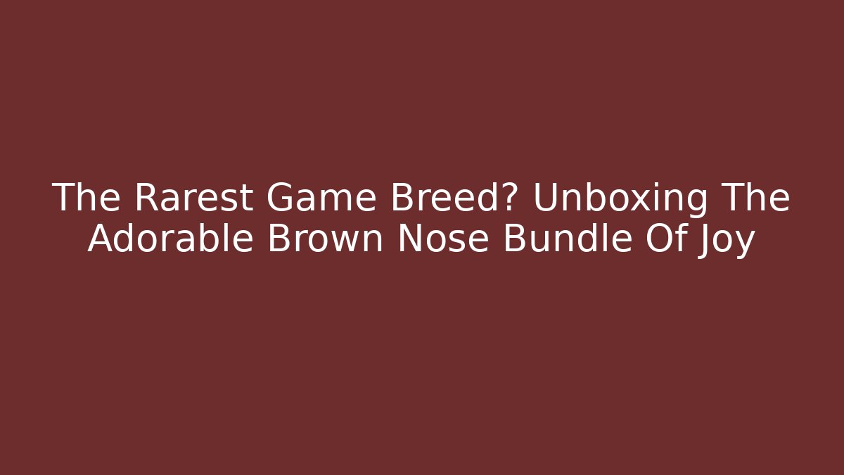 The Rarest Game Breed? Unboxing The Adorable Brown Nose Bundle Of Joy