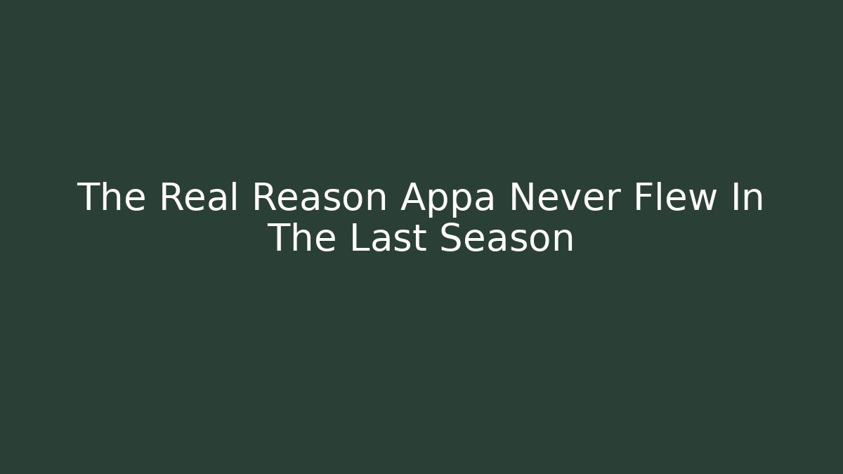 The Real Reason Appa Never Flew In The Last Season