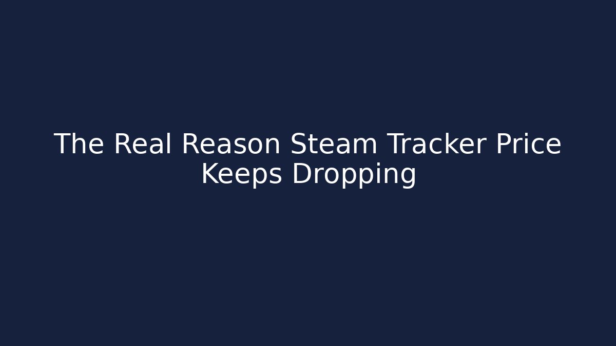 The Real Reason Steam Tracker Price Keeps Dropping