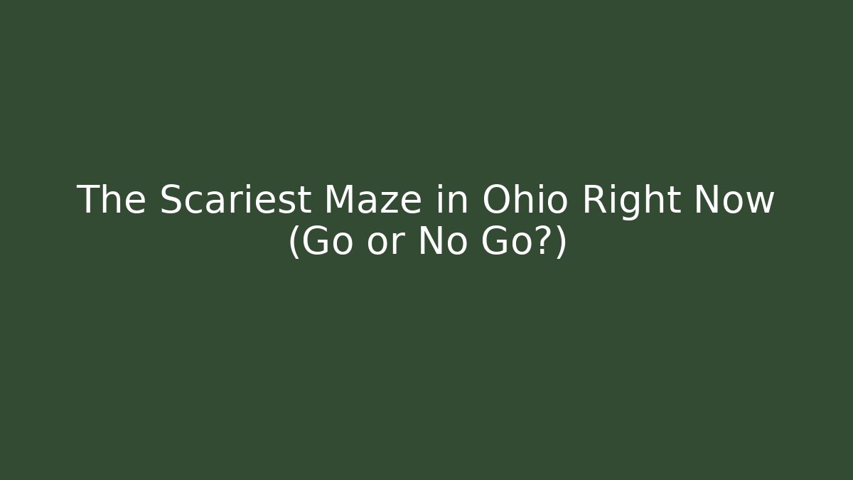 The Scariest Maze in Ohio Right Now (Go or No Go?)