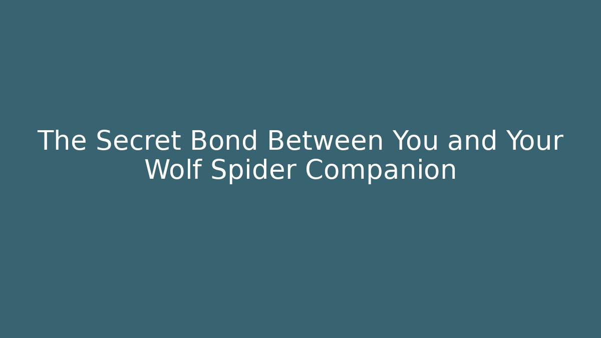 The Secret Bond Between You and Your Wolf Spider Companion