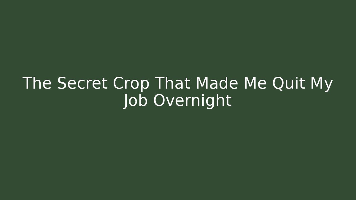 The Secret Crop That Made Me Quit My Job Overnight