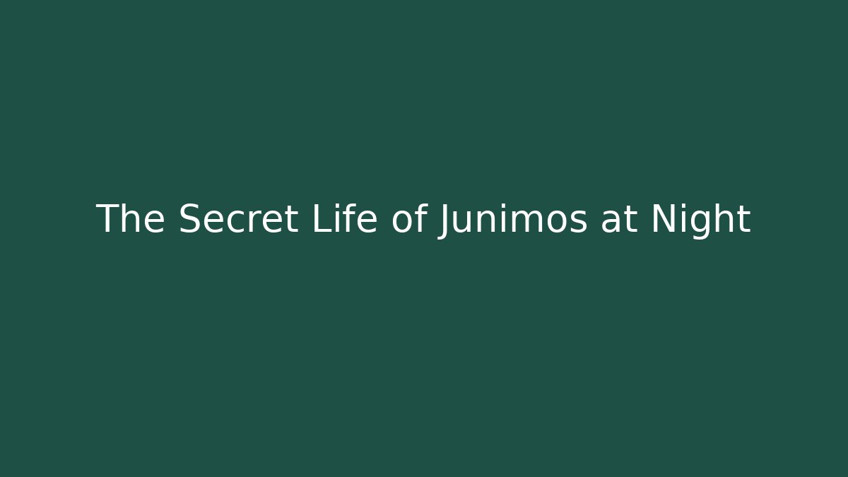 The Secret Life of Junimos at Night