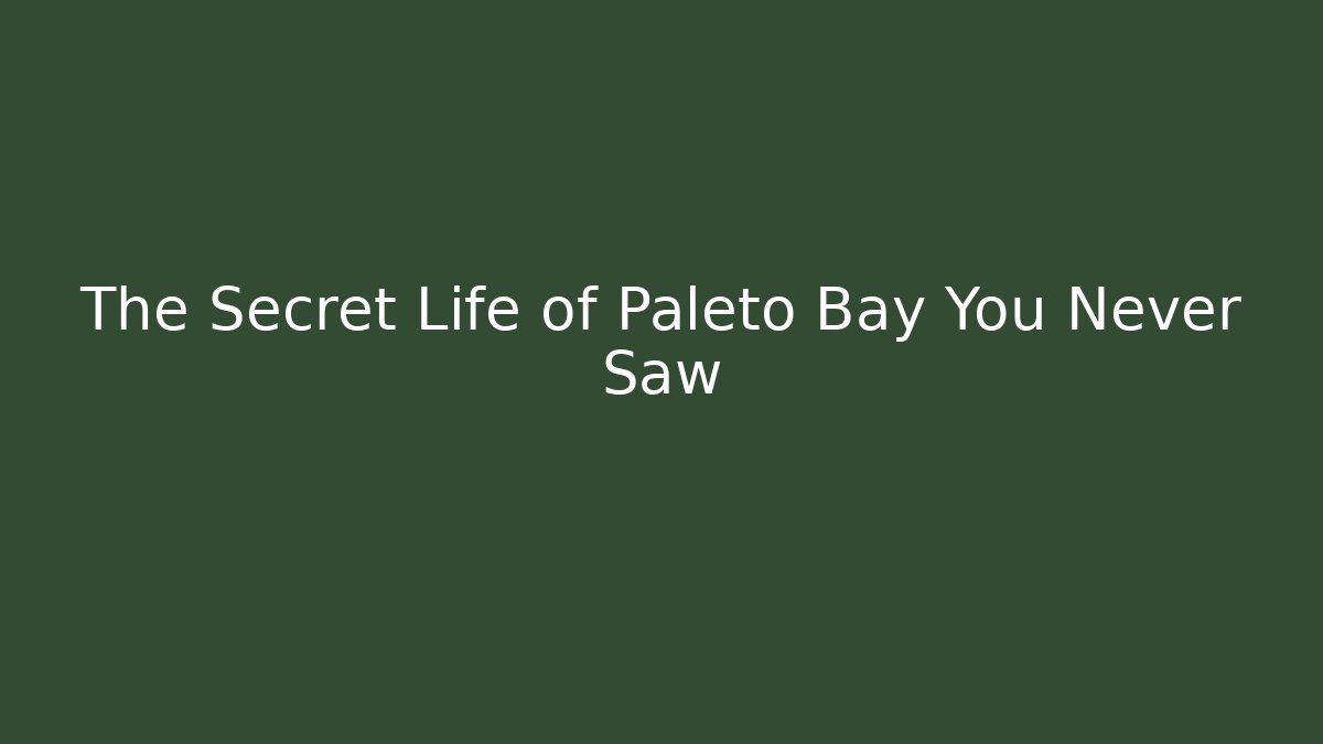 The Secret Life of Paleto Bay You Never Saw