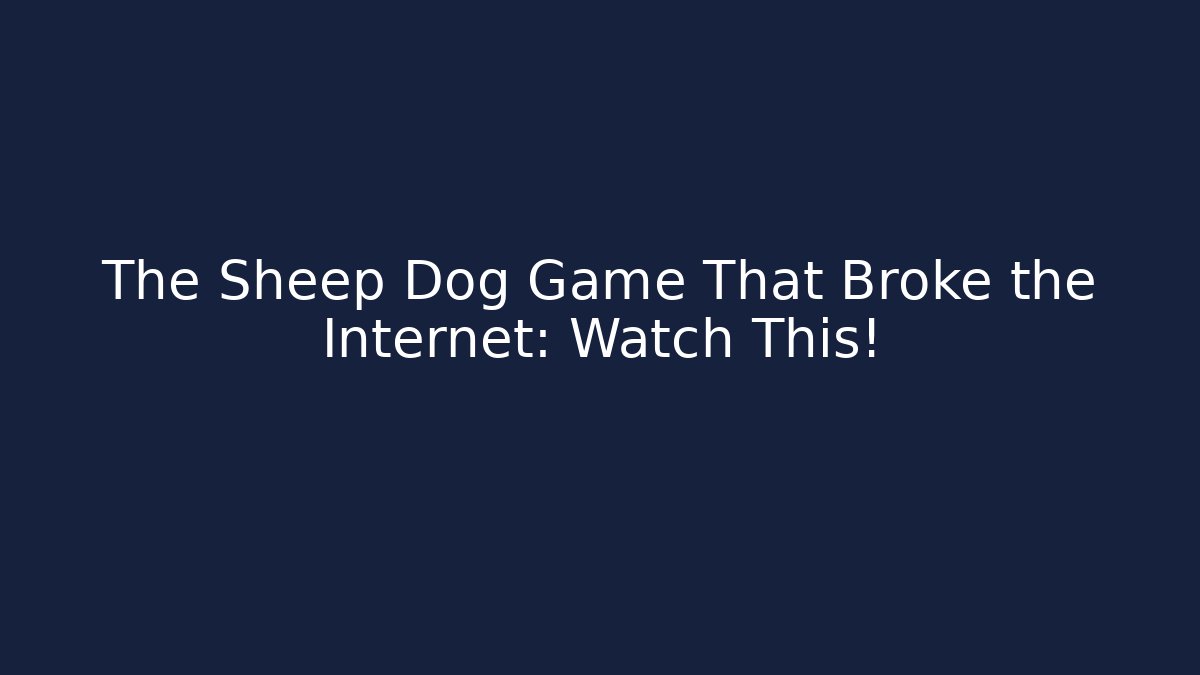 The Sheep Dog Game That Broke the Internet: Watch This!