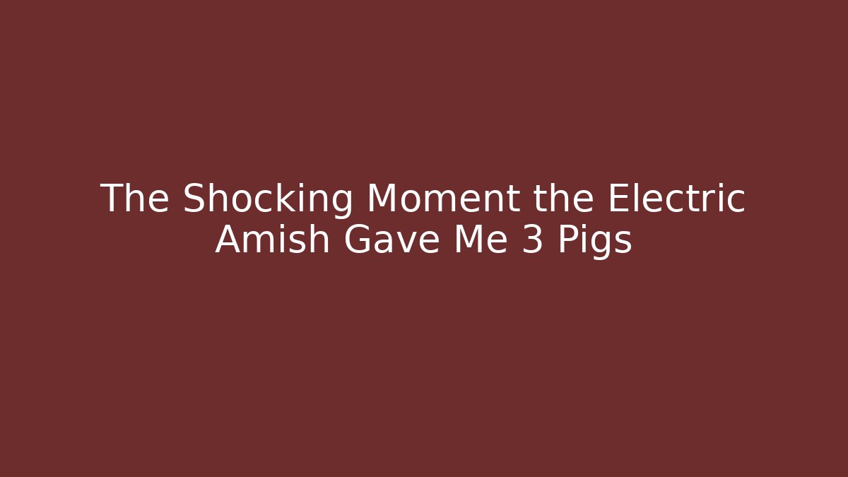 The Shocking Moment the Electric Amish Gave Me 3 Pigs