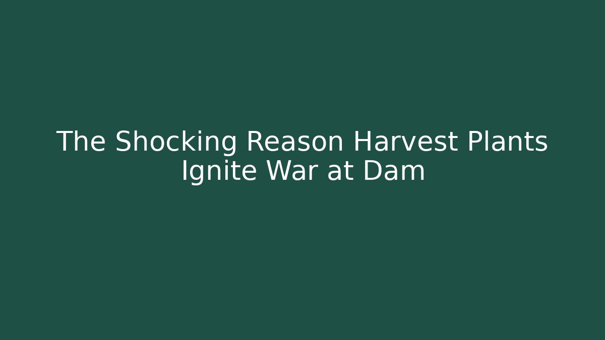 The Shocking Reason Harvest Plants Ignite War at Dam