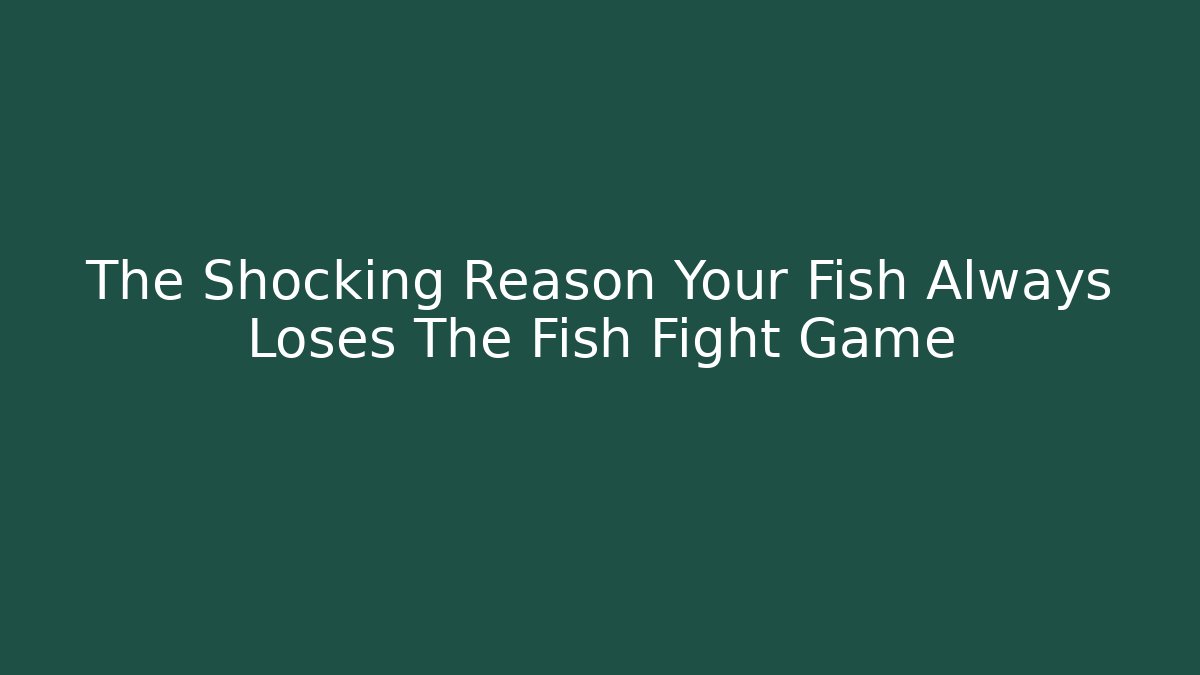 The Shocking Reason Your Fish Always Loses The Fish Fight Game