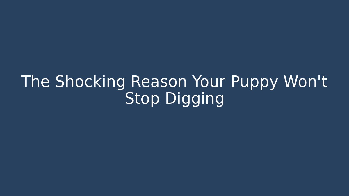 The Shocking Reason Your Puppy Won't Stop Digging