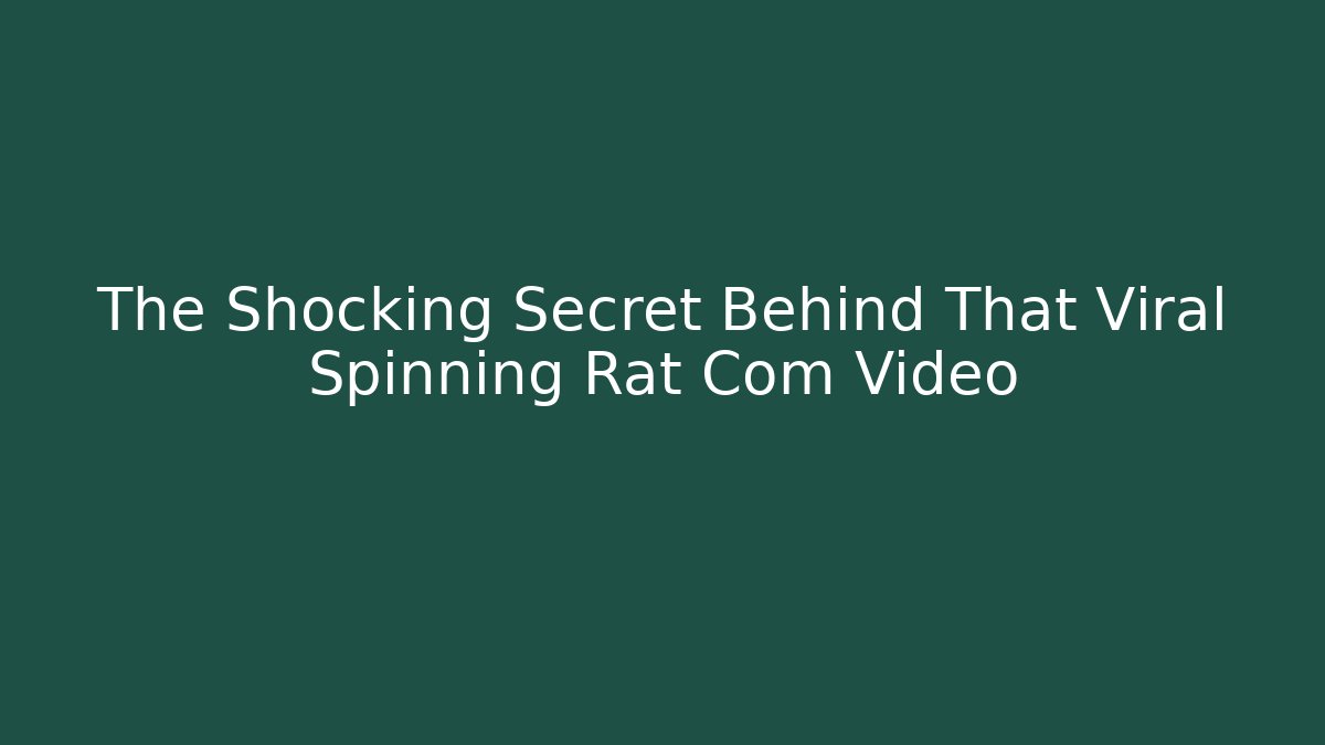 The Shocking Secret Behind That Viral Spinning Rat Com Video