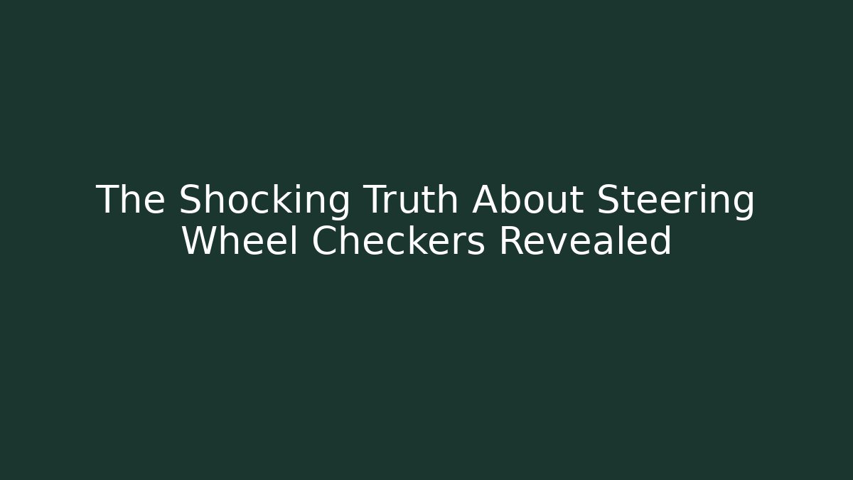 The Shocking Truth About Steering Wheel Checkers Revealed