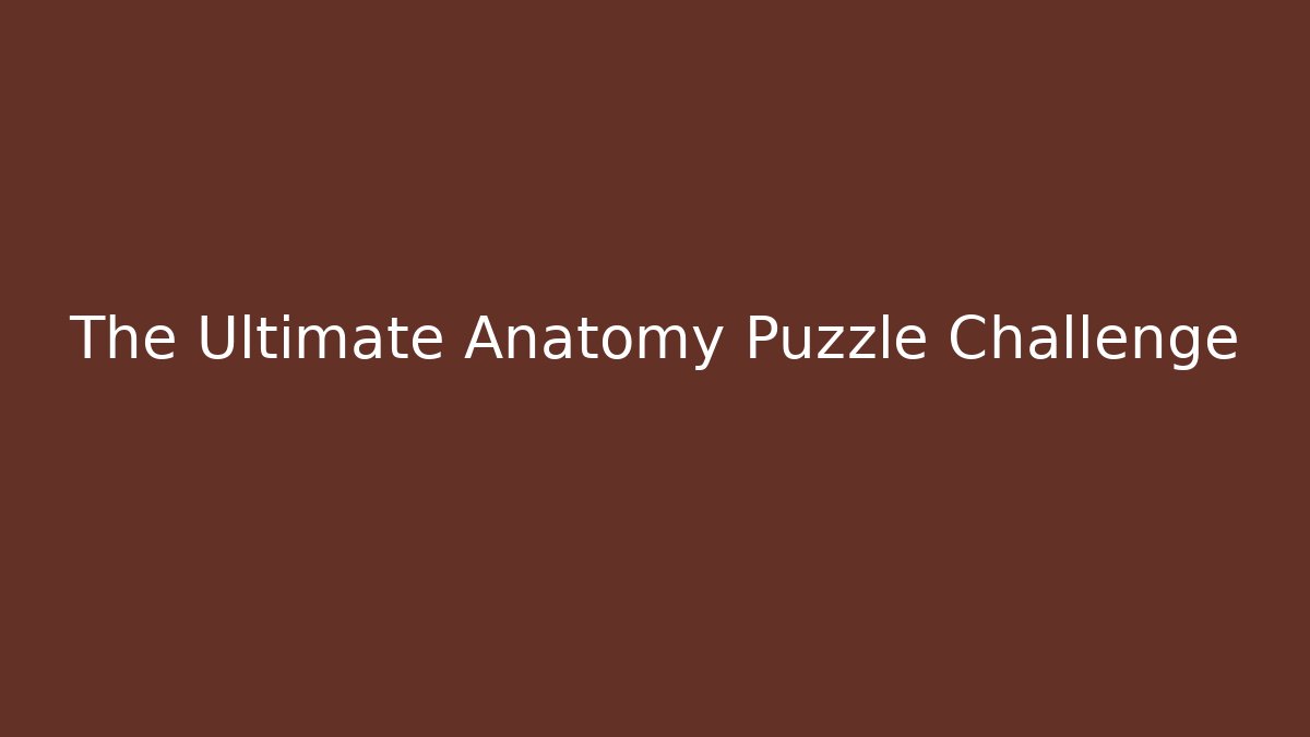 The Ultimate Anatomy Puzzle Challenge - Create More Assets