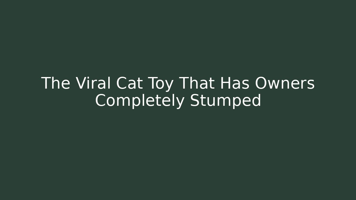 The Viral Cat Toy That Has Owners Completely Stumped