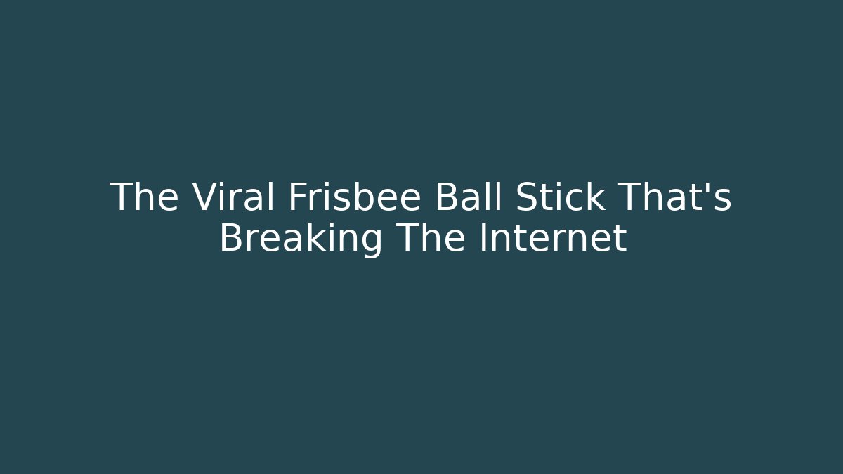The Viral Frisbee Ball Stick That's Breaking The Internet
