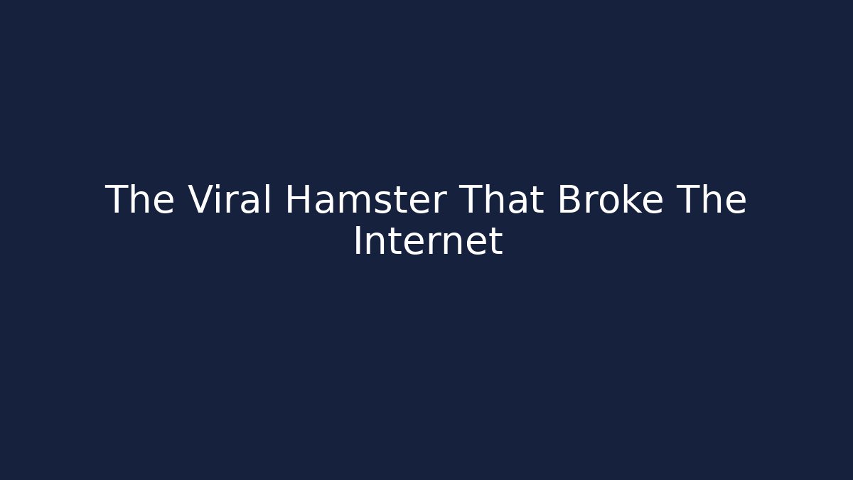 The Viral Hamster That Broke The Internet - Create More Assets
