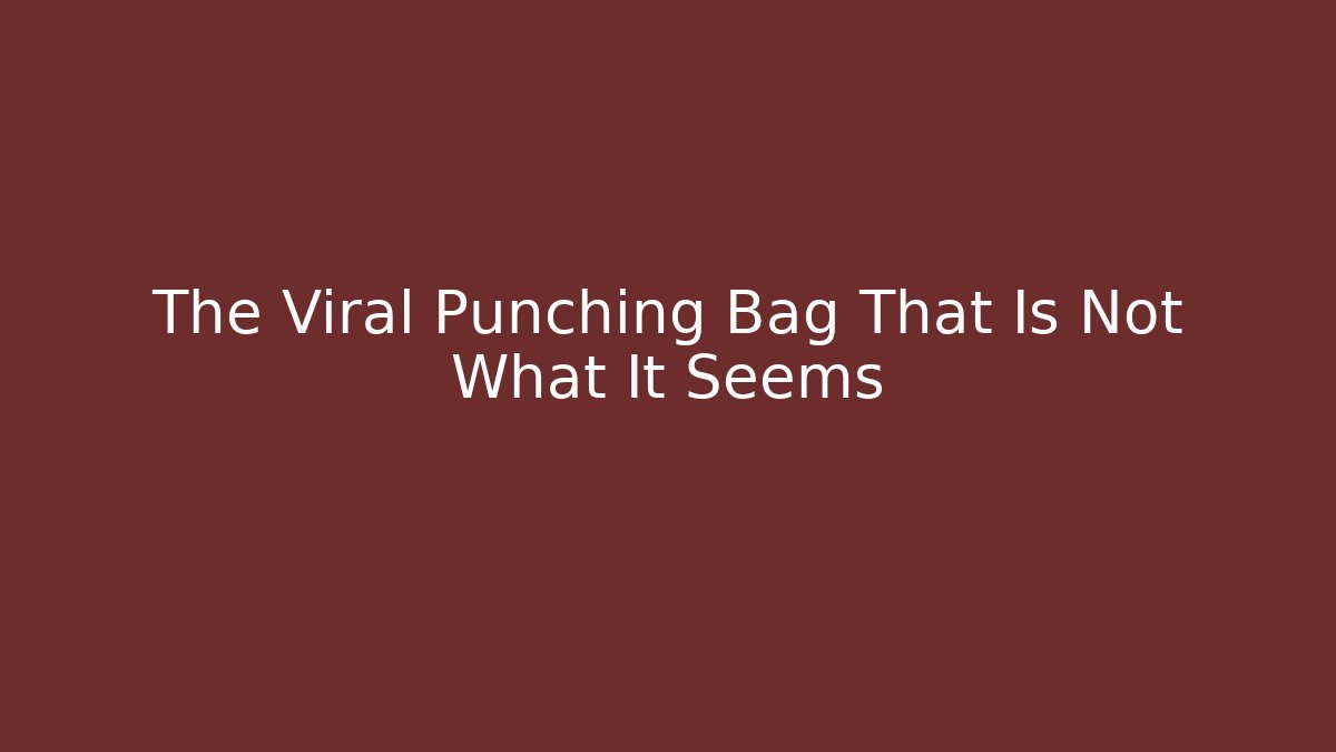 The Viral Punching Bag That Is Not What It Seems