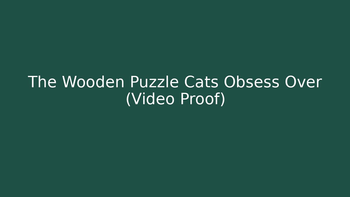 The Wooden Puzzle Cats Obsess Over (Video Proof)