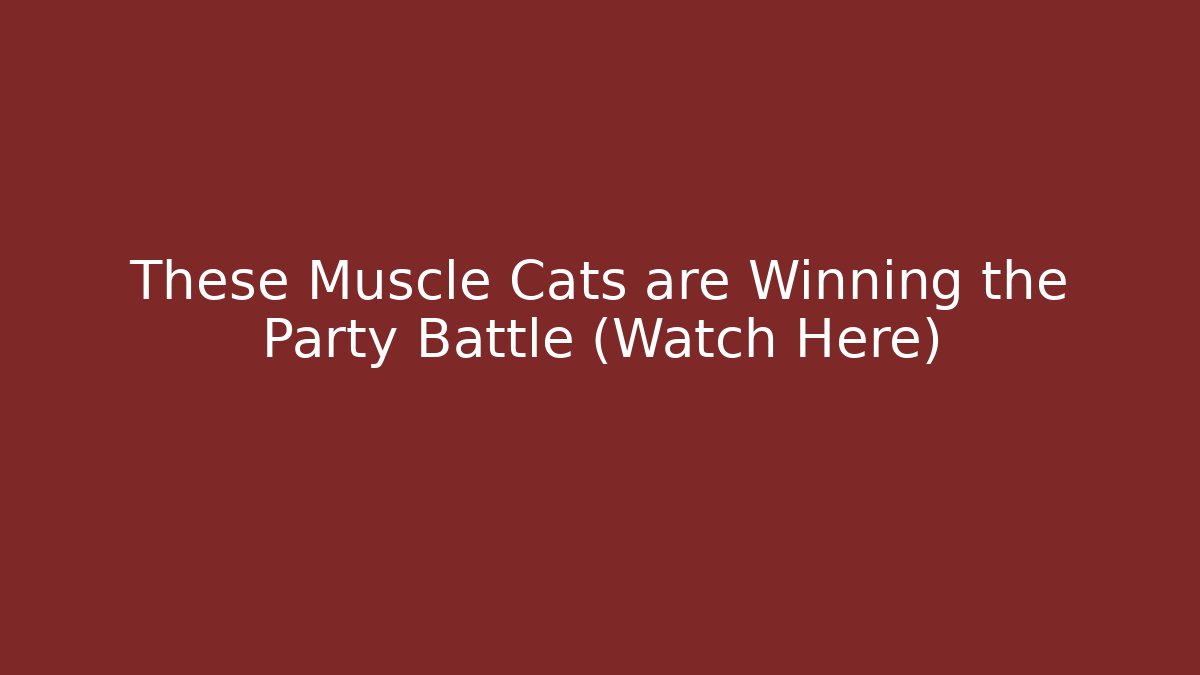 These Muscle Cats are Winning the Party Battle (Watch Here)
