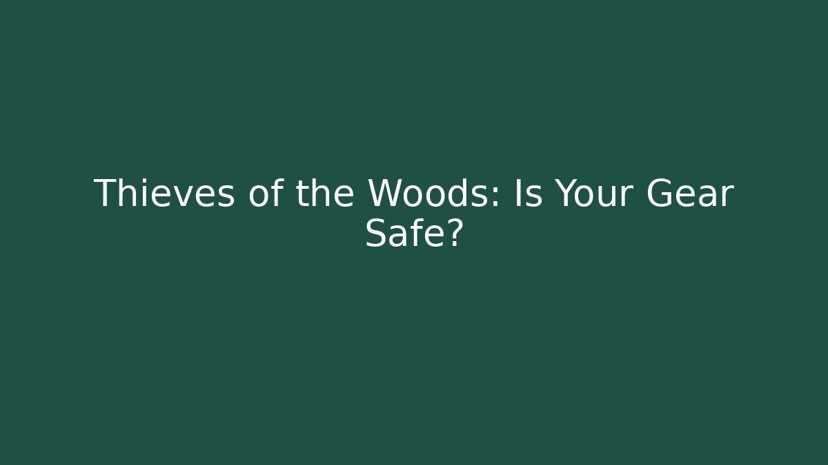 Thieves of the Woods: Is Your Gear Safe?