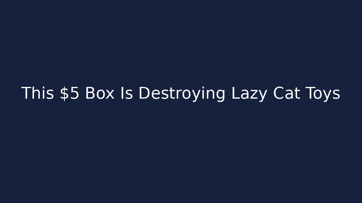 This $5 Box Is Destroying Lazy Cat Toys