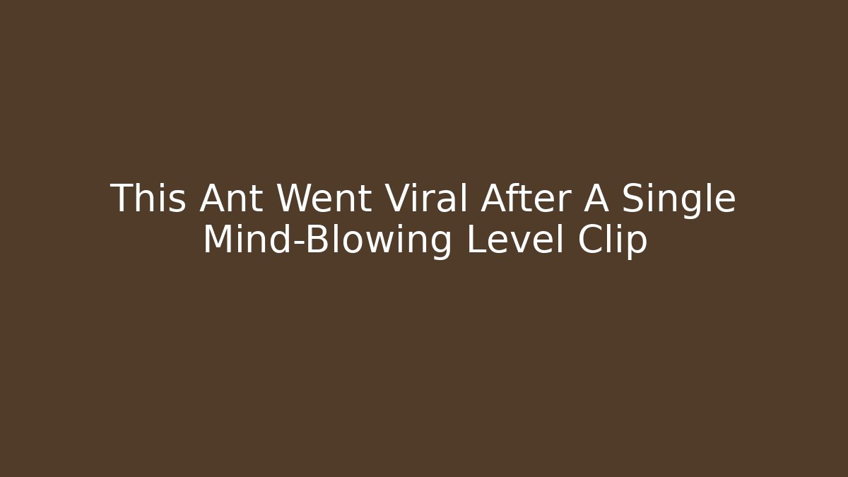 This Ant Went Viral After A Single Mind-Blowing Level Clip