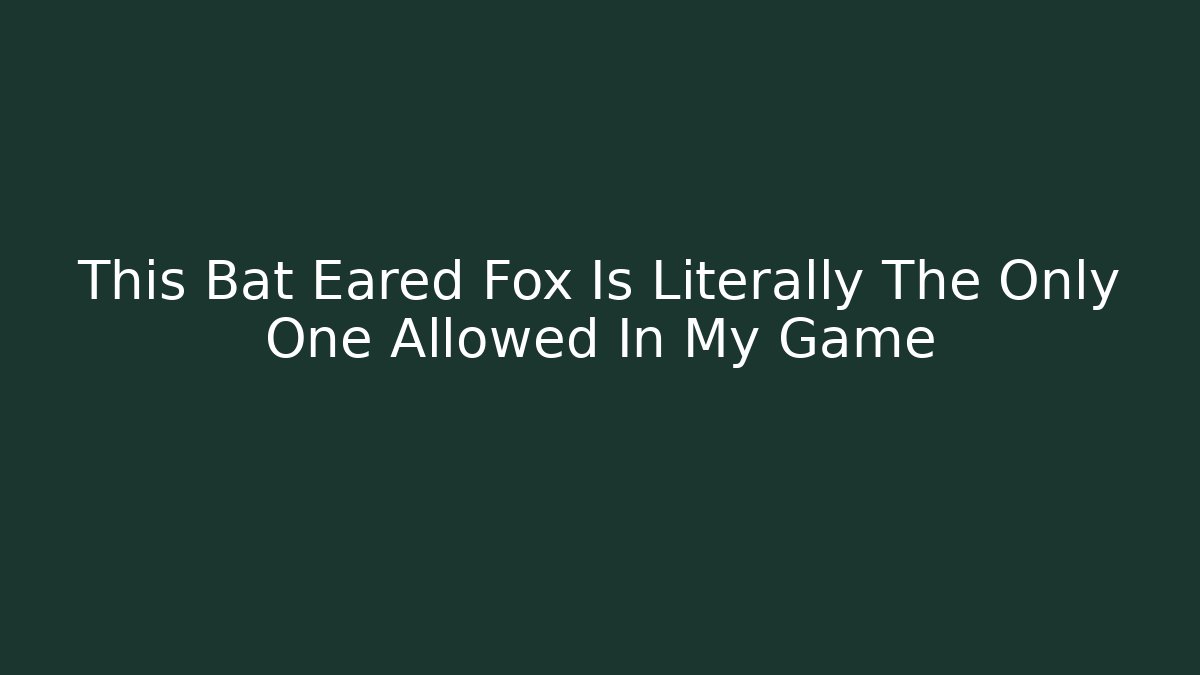 This Bat Eared Fox Is Literally The Only One Allowed In My Game