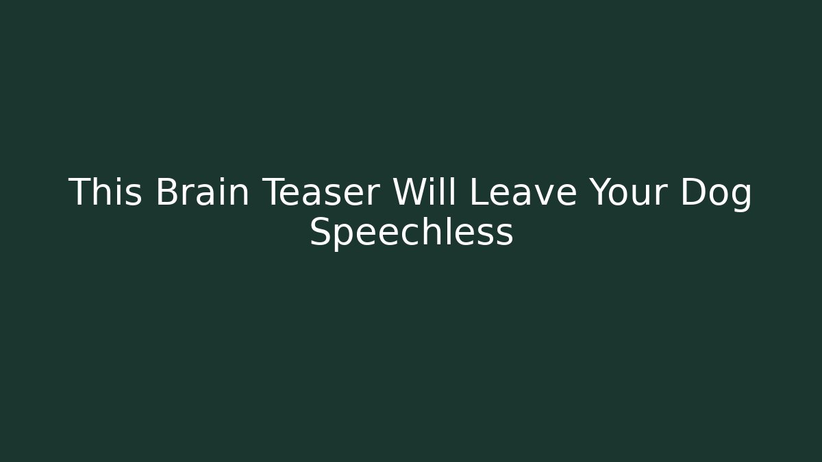 This Brain Teaser Will Leave Your Dog Speechless - Create More Assets