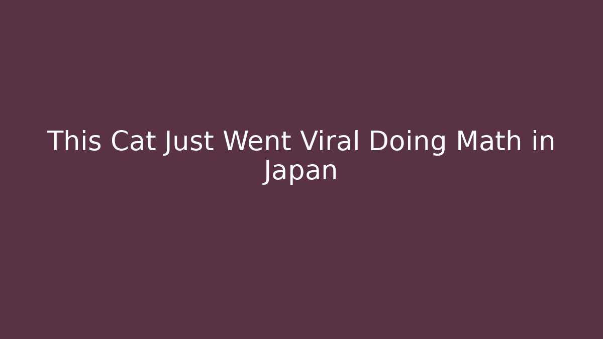 This Cat Just Went Viral Doing Math in Japan