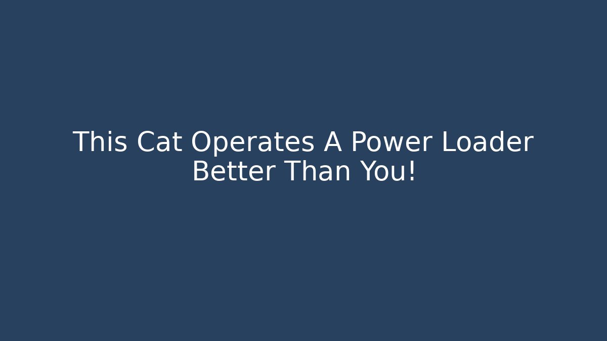 This Cat Operates A Power Loader Better Than You!