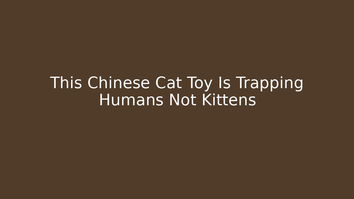 This Chinese Cat Toy Is Trapping Humans Not Kittens