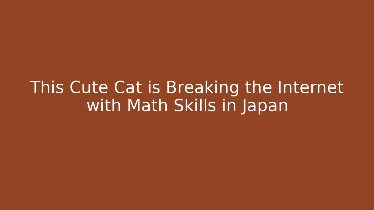 This Cute Cat is Breaking the Internet with Math Skills in Japan