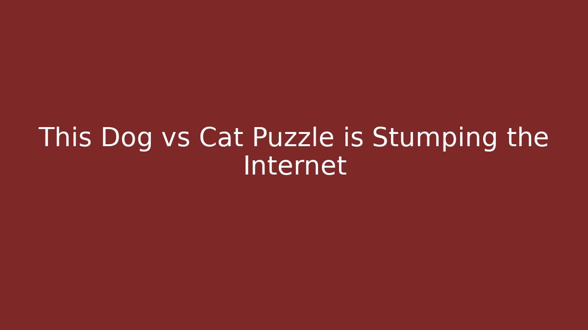 This Dog vs Cat Puzzle is Stumping the Internet - Create More Assets