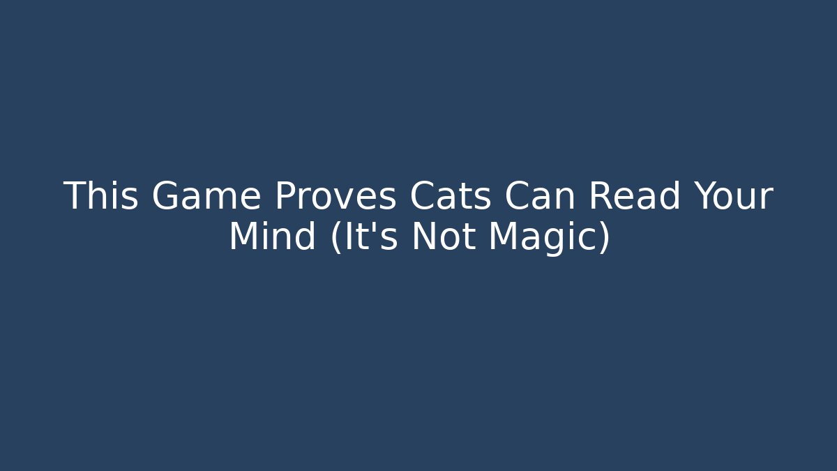 This Game Proves Cats Can Read Your Mind (It's Not Magic)