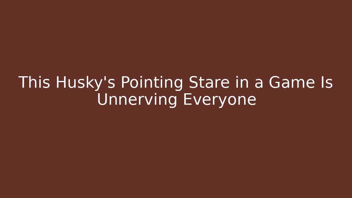 This Husky's Pointing Stare in a Game Is Unnerving Everyone