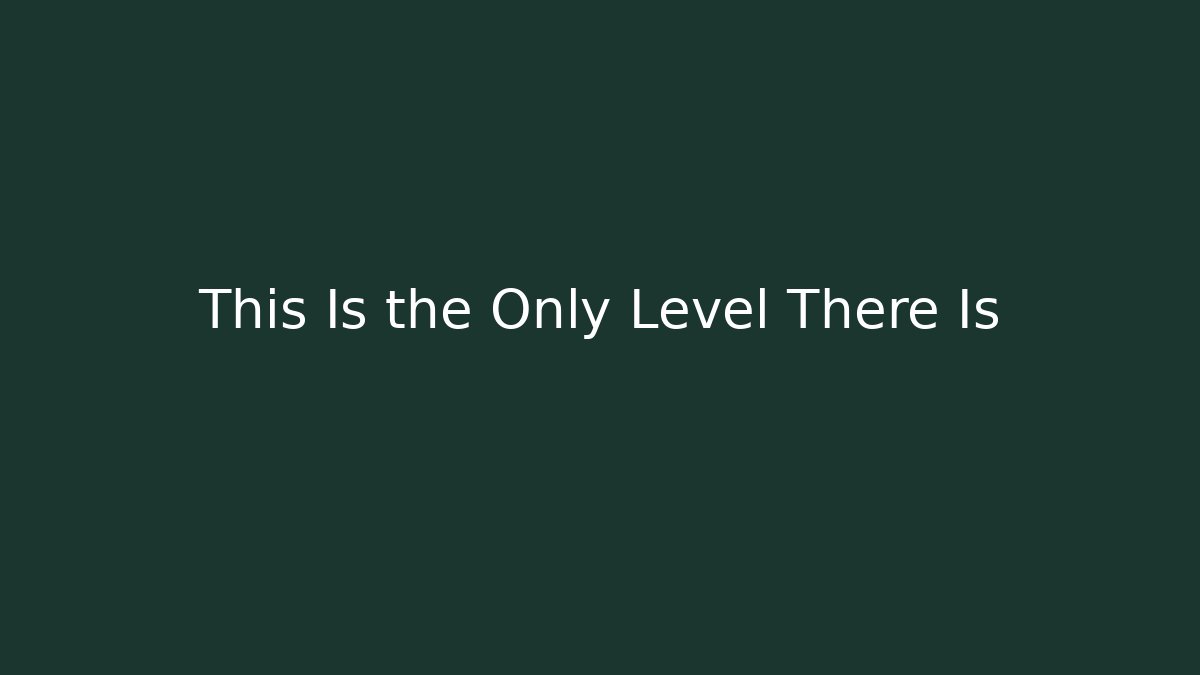 This Is the Only Level There Is