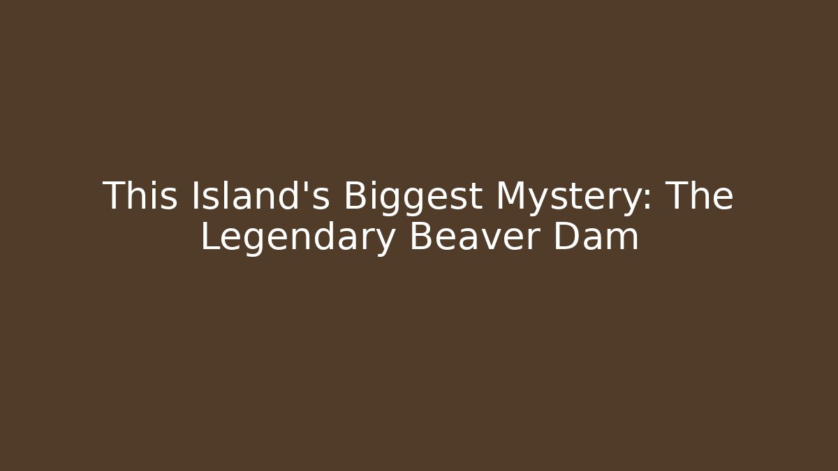 This Island's Biggest Mystery: The Legendary Beaver Dam