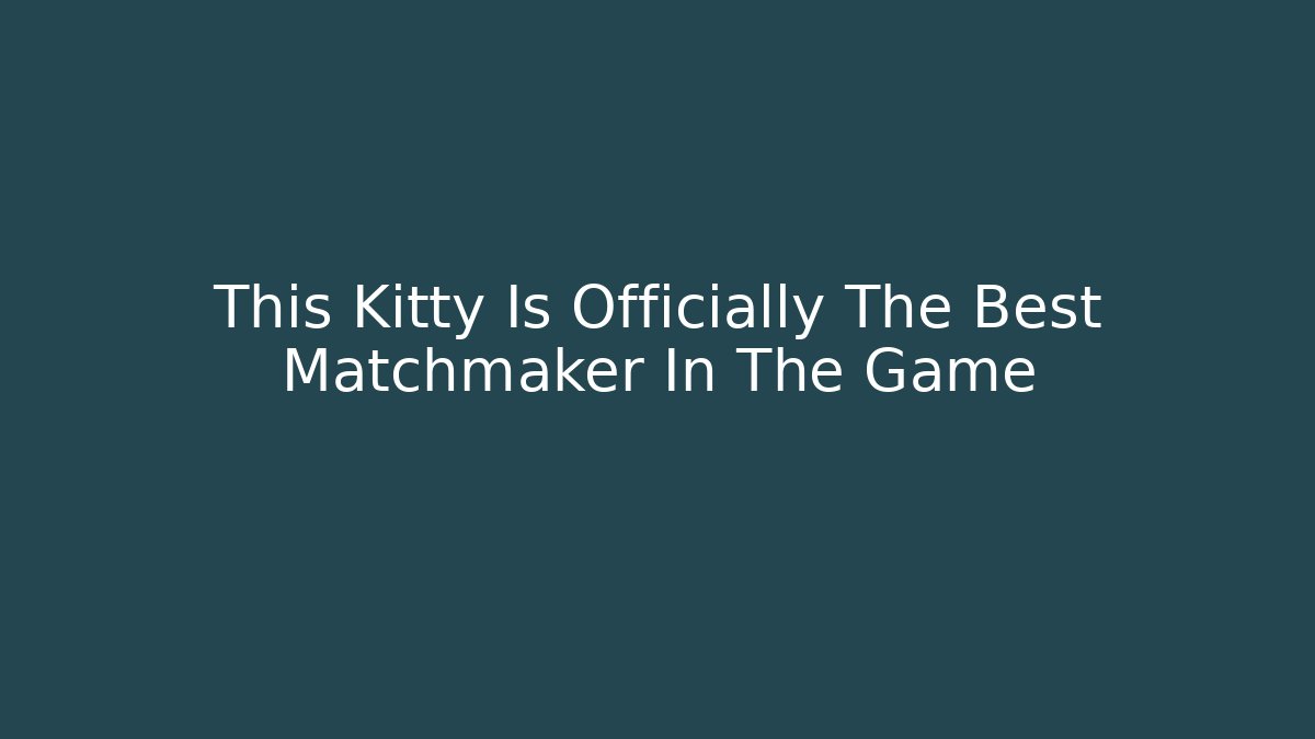 This Kitty Is Officially The Best Matchmaker In The Game
