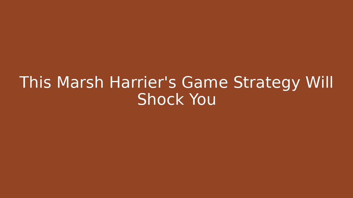 This Marsh Harrier's Game Strategy Will Shock You