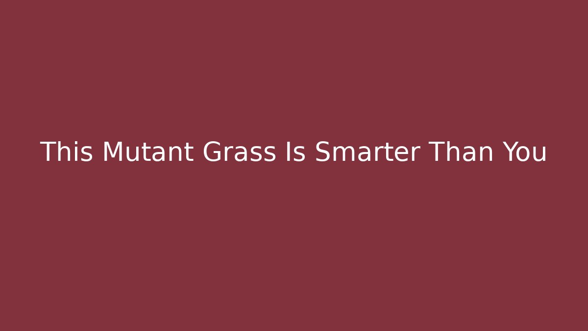 This Mutant Grass Is Smarter Than You