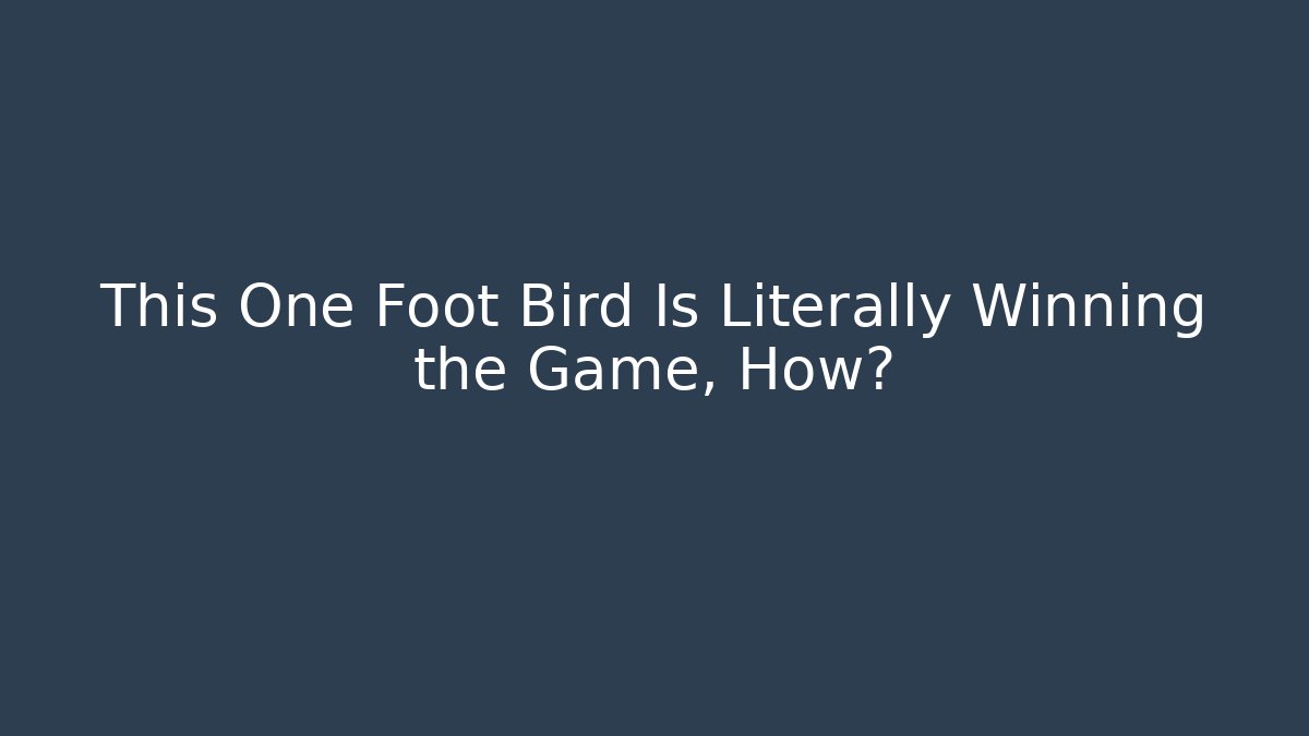 This One Foot Bird Is Literally Winning the Game, How? - Create More Assets